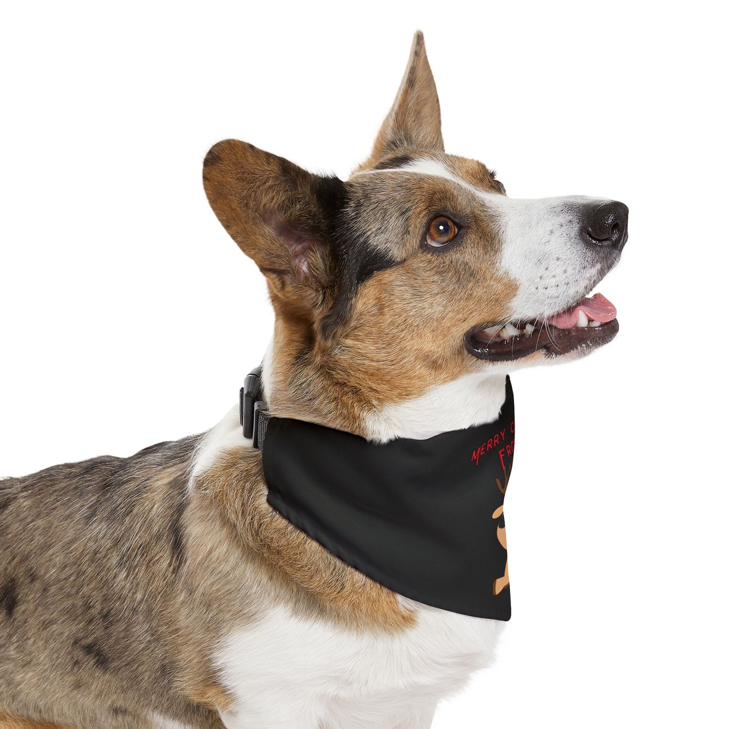 Merry Christmas From Me Pet Bandana Collar (Black) (Also Available in Adult Holiday Collection and Kids Holiday Collection)
