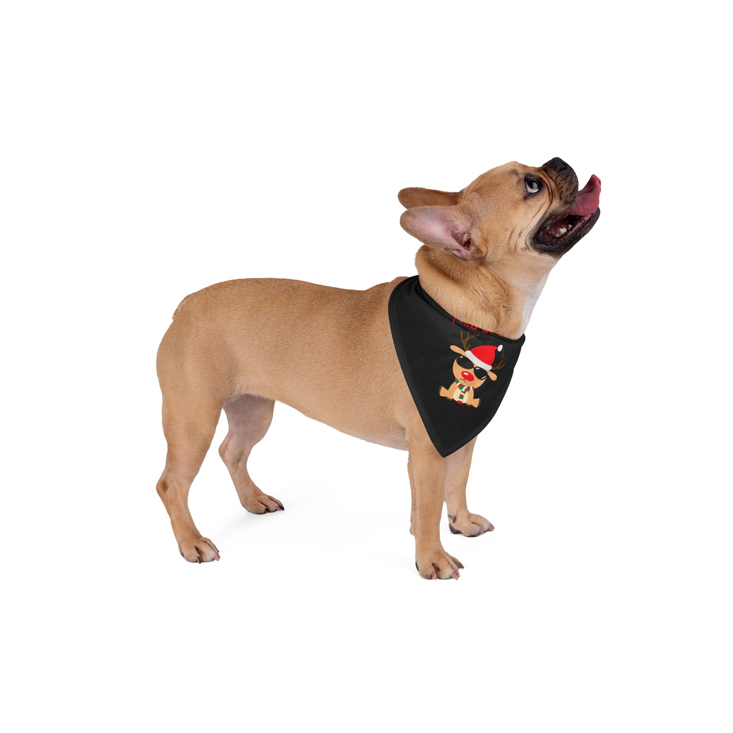 Merry Christmas From My Crew Pet Bandana (Black) (Also Available in Adult Holiday Collection and Kids Holiday Collection)