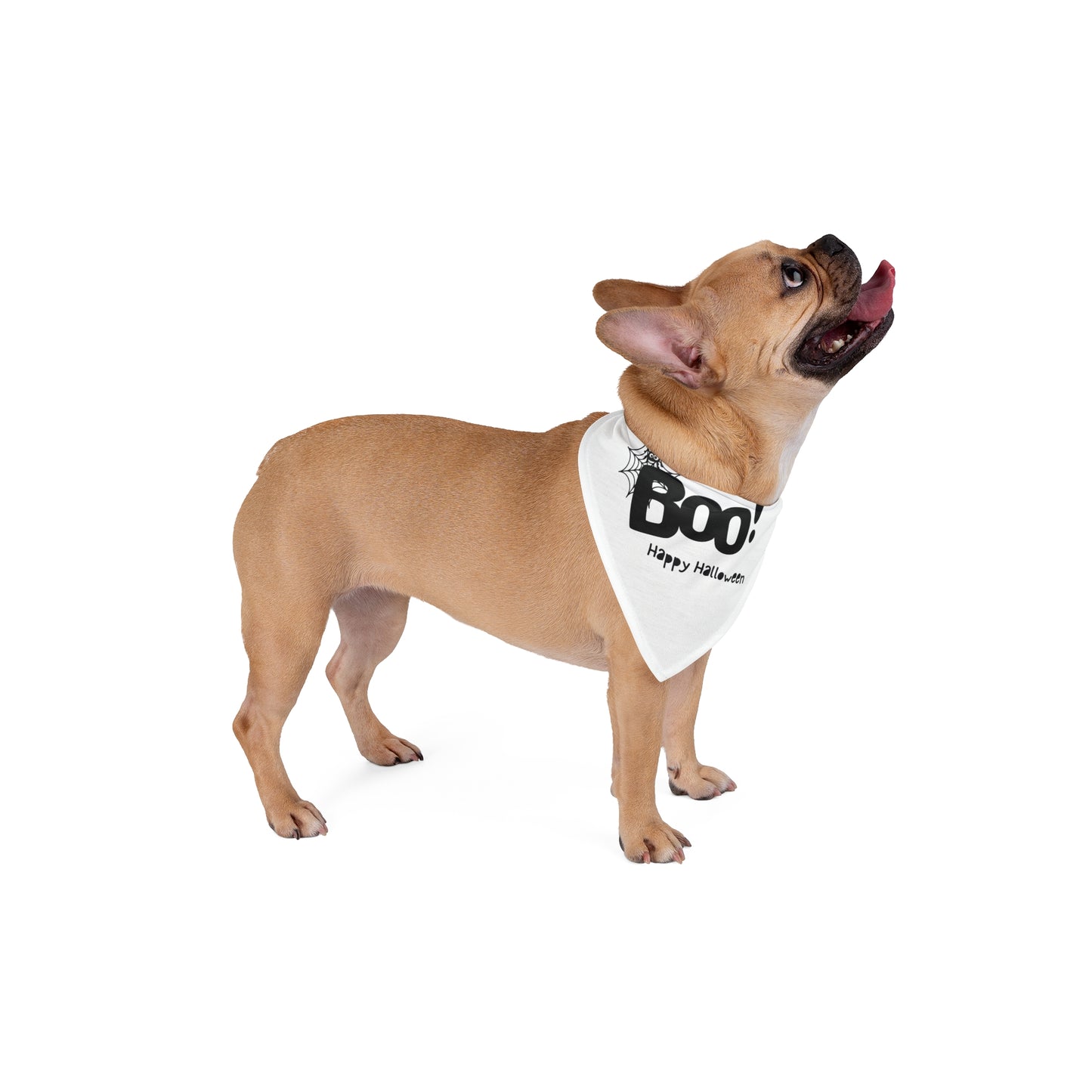 Boo Happy Halloween Pet Bandana (Also Available in Adult Holiday Collection and Kids Holiday Collection)