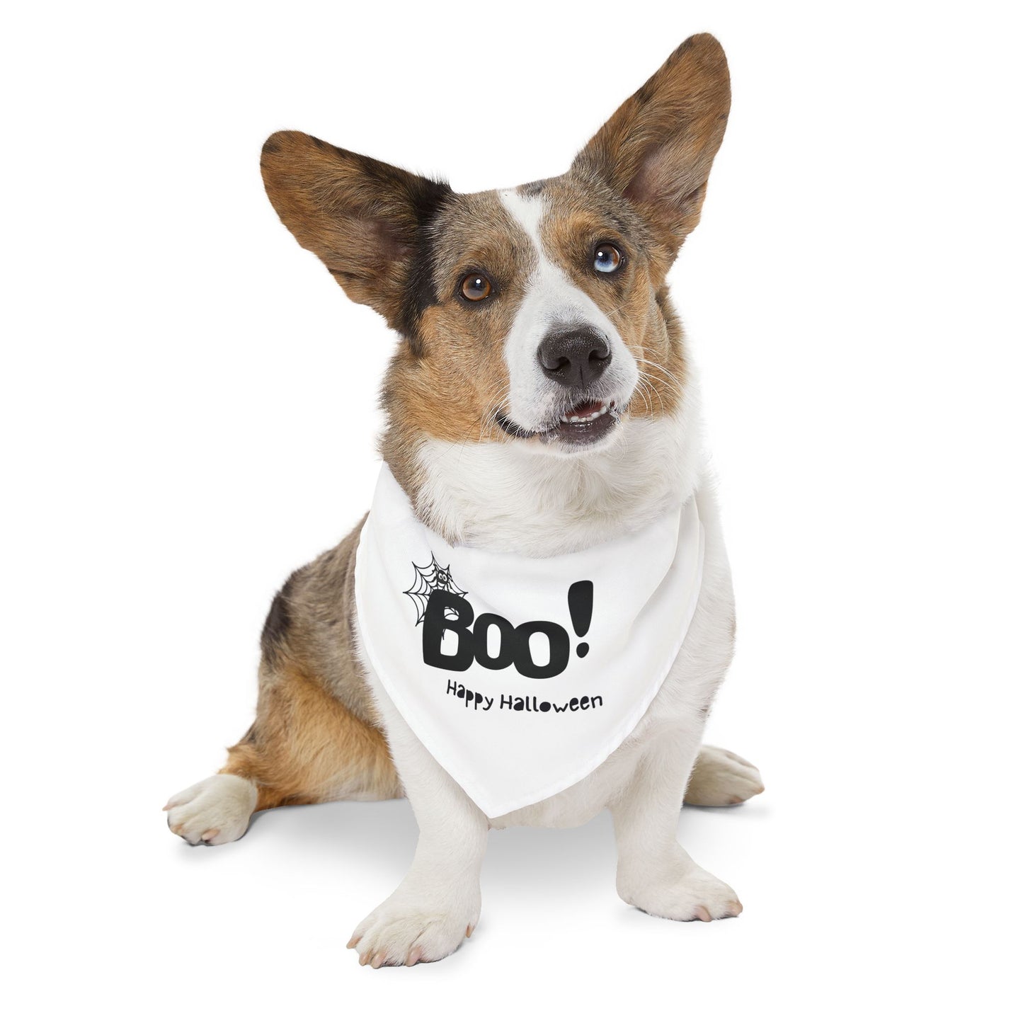 Boo Happy Halloween Pet Bandana Collar (Also Available in Adult Holiday Collection and Kids Holiday Collection)