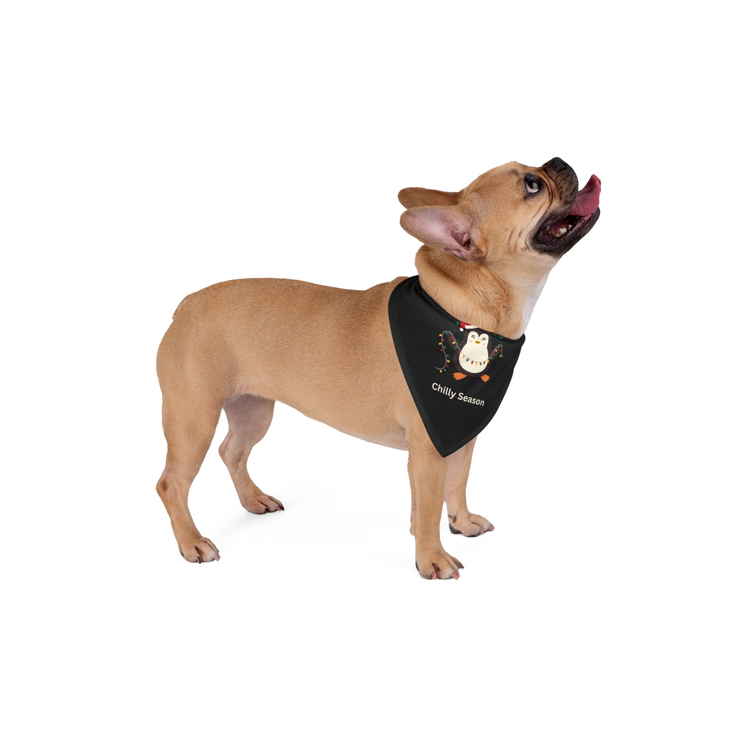 Chilly Season Pet Bandana (Black) (Also Available in Adult Holiday Collection and Kids Holiday Collection)