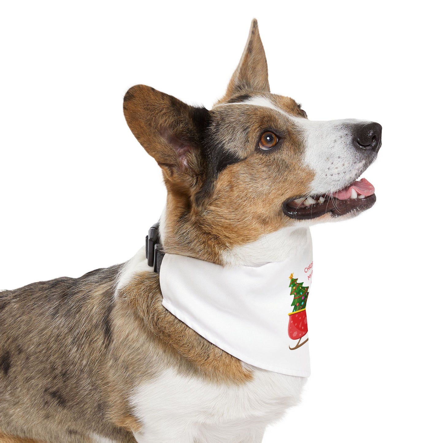 Christmas Is My Favorite Holiday Pet Bandana (Also Available in Adult Holiday Collection and Kids Holiday Collection)