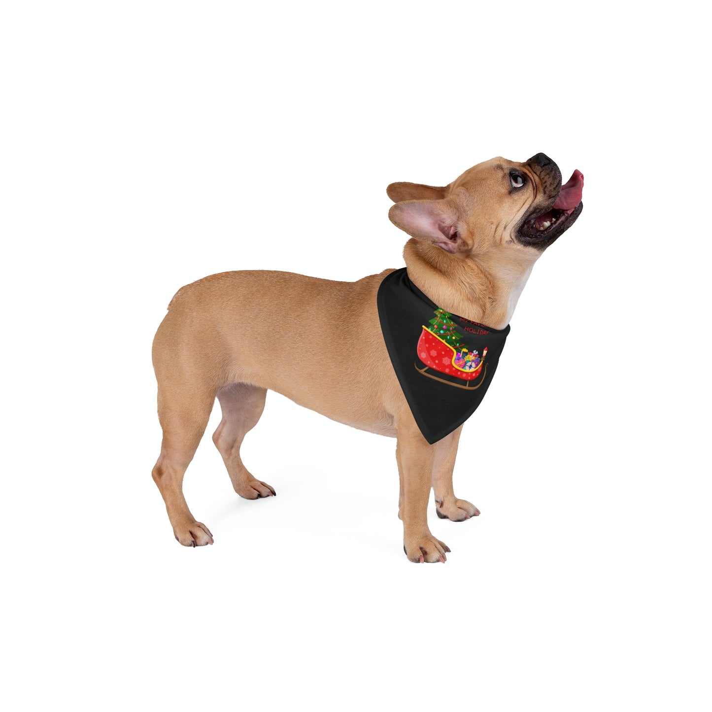 Christmas Is My Favorite Holiday Pet Bandana (Black) (Also Available in Adult Holiday Collection and Kids Holiday Collection)
