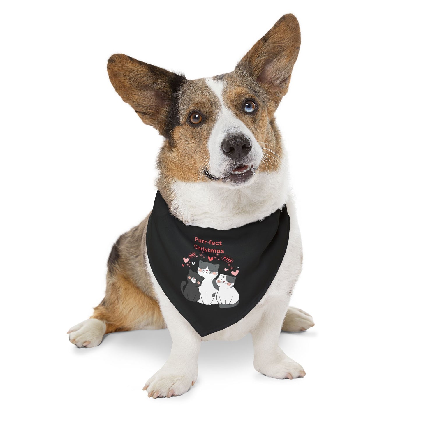 Purr-fect Christmas Pet Bandana Collar (Black) (Also Available in Adult Holiday Collection and Kids Holiday Collection)