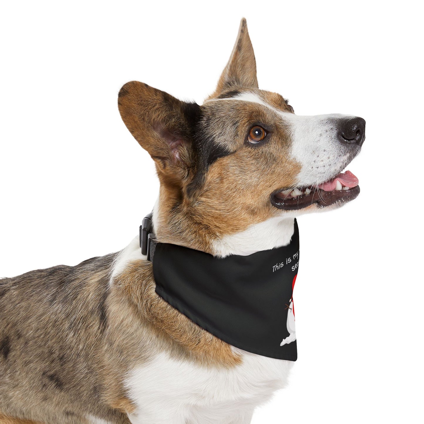 This Is My Favorite Season Pet Bandana Collar (Also Available in Adult Holiday Collection and Kids Holiday Collection)