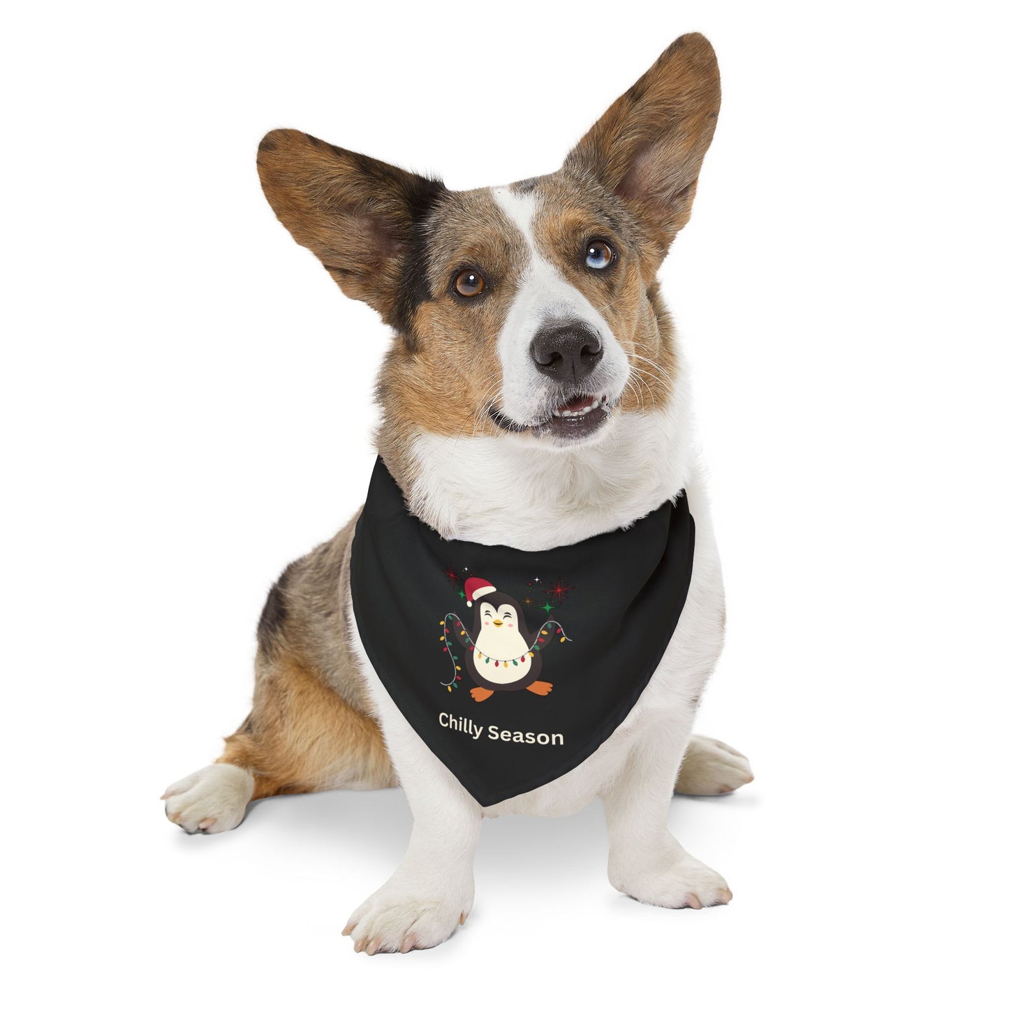 Chilly Season Pet Bandana Collar (Black) (Also Available in Adult Holiday Collection and Kids Holiday Collection)