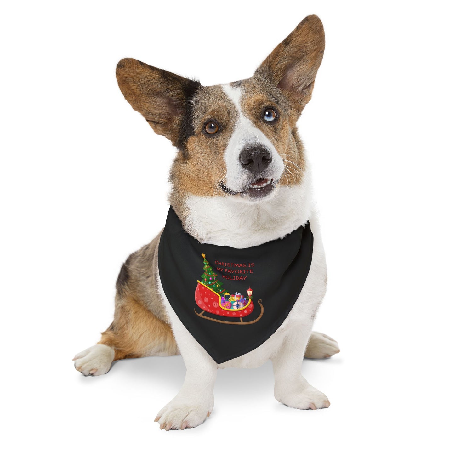Christmas Is My Favorite Holiday Pet Bandana (Black) (Also Available in Adult Holiday Collection and Kids Holiday Collection)
