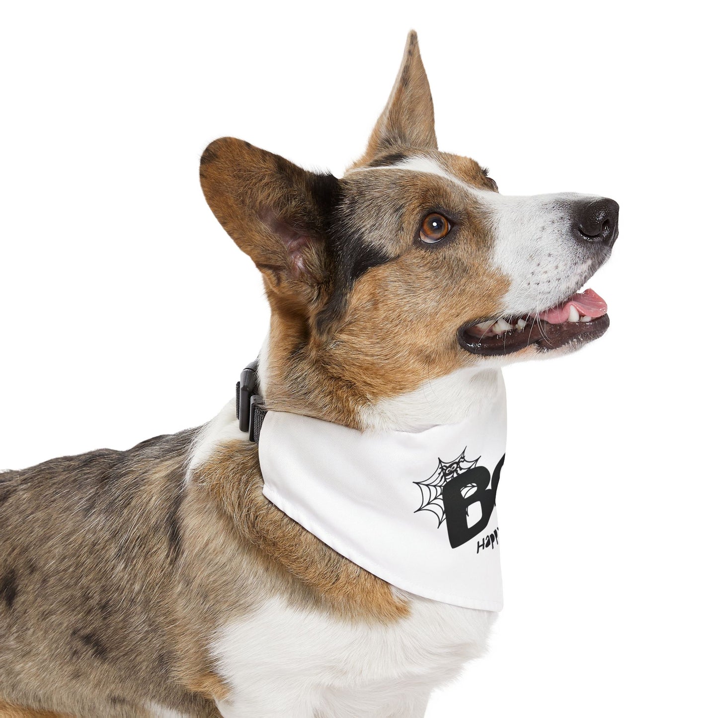 Boo Happy Halloween Pet Bandana Collar (Also Available in Adult Holiday Collection and Kids Holiday Collection)
